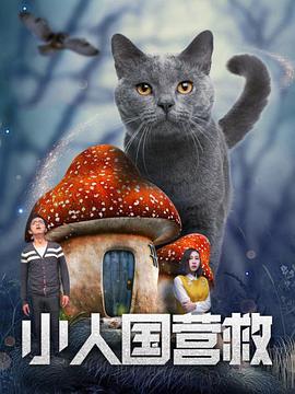 DVD无删减90分钟观看