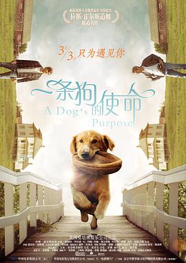完整版在线观看